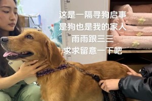 狗狗晚上为什么会叫？（探究狗狗晚上叫的原因及解决办法）