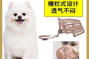 如何让博美犬不再乱啃乱扑（掌握这些方法，让你的宠物更加听话）