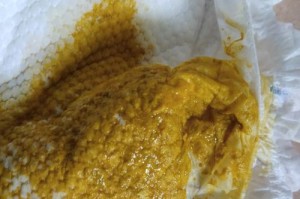 人拉的粑粑长什么样？（探寻人类排泄物的奥秘，解读大便的形状和颜色）