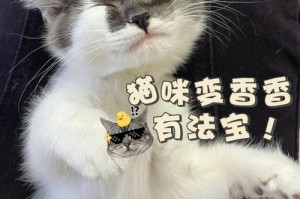 宠物洗澡该用什么沐浴露？（猫咪可以使用人类的沐浴露吗？）