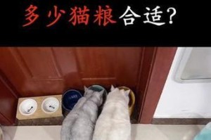 猫粮的合理喂养量（了解猫咪的食量需求，让它健康成长）