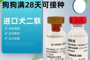 宠物幼犬的饮食与药物管理