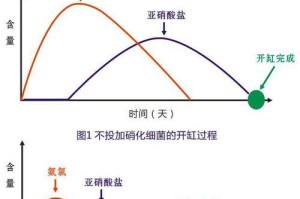 鱼缸放盐比例的计算方法及注意事项（掌握正确的鱼缸放盐比例，打造健康的水族环境）