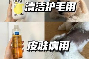 选择适合狗狗的洗澡用品（为你的宠物提供最佳护理体验）