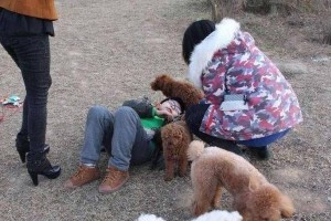 为什么狗狗只咬小孩？（探究狗狗对小孩的咬伤行为以及可能的原因）