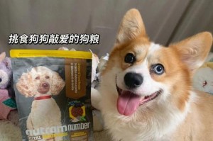 选用无臭狗粮，给你的爱犬带来清新空气（解决犬粪异味问题的关键）