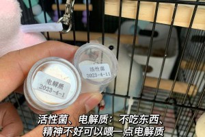 以捉鸟用什么药？（探寻捕鸟药物的合理选择与应用）