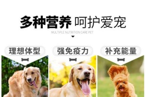 如何为你的哈士奇幼犬提供充足营养？（宠物主人必看！哈士奇幼犬所需营养全解析）