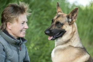 如何饲养一只多伯曼犬（了解多伯曼犬的性格和需求，让它成为你的忠诚伙伴）