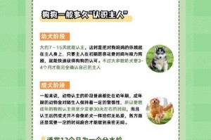 小狗成年需要多长时间？（探究小狗成长速度与发育阶段的关系）