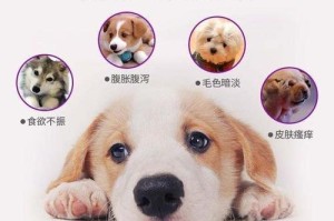 狗狗需要驱虫的常见症状（如何判断狗狗是否需要进行驱虫？）
