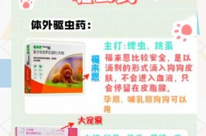 狗夏天驱虫的重要性与频率（了解狗夏天驱虫的注意事项和最佳时间）