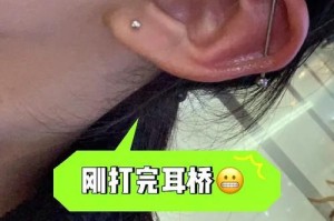 狗狗耳洞护理指南（选择正确的清洁用品，让狗狗的耳洞更健康）