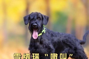 揭开狗狗发出奇怪叫声的背后原因（探索狗狗叫声的奥秘与解读）