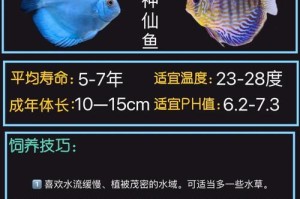 七彩神仙的繁殖周期及产卵频率（探究七彩神仙产卵的时间间隔及其对繁殖的影响）