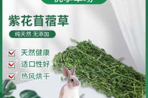 龙猫最喜欢吃哪些树叶？（揭秘龙猫的饮食偏好，帮你为宠物提供营养丰富的饮食。）
