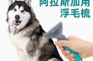 狗狗换毛期怎么吃最好？（合理饮食帮助狗狗度过换毛期）