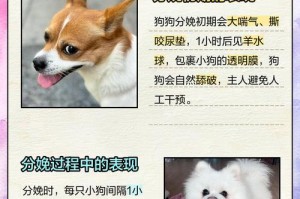 狗狗的繁殖周期及生育频率（探究狗狗的生育规律，了解繁殖周期与生育间隔）