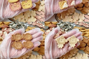 探索狗饼干的最佳品牌选择（全面分析各个品牌的狗饼干，寻找最适合您的宠物的美味佳肴）