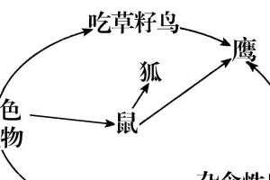 环喉雀饲养方法大全（打造健康活泼的环喉雀宠物）