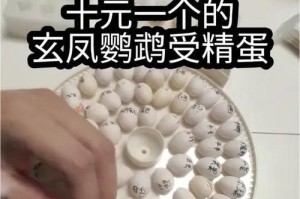 鹦鹉孵化的饲养要点（探索鹦鹉孵化期间的饮食需求与注意事项）