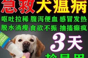 狗狗吃了吐有点拉肚子怎么办？（应急措施和药物治疗方法分享，）