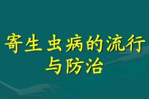 宠物健康，外寄生虫说不！（以狼青犬的外寄生虫防治为例）