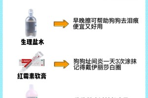 狗狗感冒怎么办？教你正确对症下药（狗狗感冒的原因、症状及正确的治疗方法）