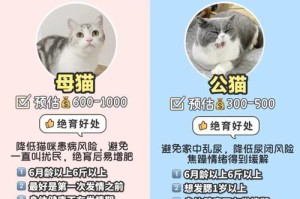 公猫绝育戴环时间的选择（为你的宠物健康着想，合理安排绝育环戴戴的时间）