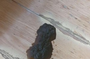 探究狗狗细小前症状，保护爱宠健康（一起了解狗狗细小前症状，及时预防、治疗）
