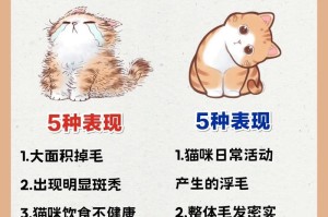小猫毛长得好需要多久？（了解小猫毛发生长周期的关键）