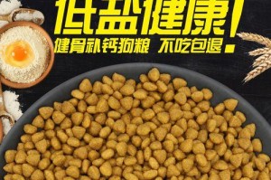 让你的幼犬适应硬质狗粮的方法（从宠物口感、调整饮食习惯、增加运动量三方面入手）