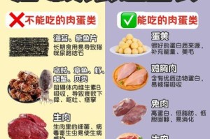小猫刚出生的喂养方法（帮助小猫健康成长的关键）