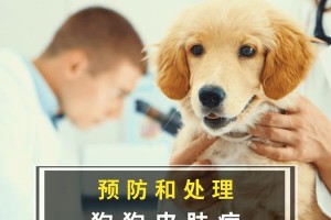 如何预防宠物狗狗皮肤病？（宠物狗狗的健康从皮肤开始，照顾好它们的皮肤很重要！）