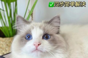 宠物爱好者必看的养猫秘籍，让你的猫咪变成小胖墩（宠物爱好者必看的养猫秘籍，让你的猫咪变成小胖墩）