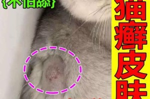 如何成功治疗猫咪全身严重猫癣？（铲屎官亲测分享，告诉你解决猫癣的秘诀！）