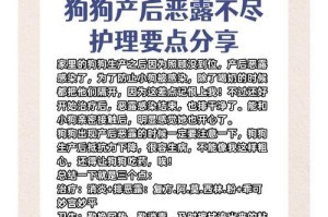 狗配种到生后多久能洗澡？（了解适当的洗澡时间以保护母犬和幼犬的健康）