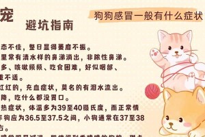 狗狗发烧的原因及迹象（探究狗狗发烧的多种原因和常见症状）