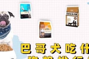 以巴哥喂什么狗粮最好？（巴哥狗粮推荐及喂养建议）