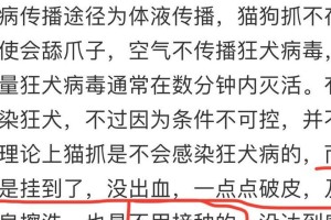 如何应对两个月大边牧犬拒食狗粮问题（解决宠物健康饮食难题，从养护入手）