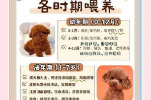 泰迪胎动时间的探究（揭秘泰迪宝宝的成长过程及胎动周期）