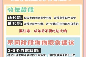 狗粮泡久了不能吃了？（了解狗粮的保质期和泡粮时间）