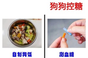 狗狗血糖高的原因及预防措施（探索狗狗血糖高的多种原因以及如何保持血糖平衡）