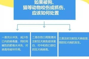 宠物狂犬病的治疗方法（掌握狂犬病的症状和预防措施，有效避免宠物患病）