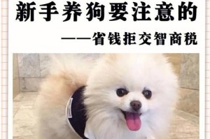 秋田犬吐黄水可能并非胃炎（探究秋田犬吐黄水的原因及解决方案）