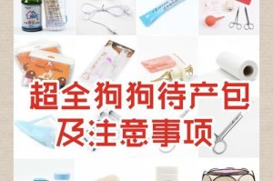 狗狗怀孕准备指南（为你的毛孩做好准备，提前准备这些必备物品）
