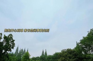 与狗狗一起玩乐的地方（探索您附近的狗友聚会场所）