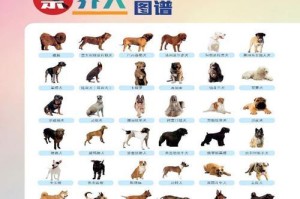 大丹犬饲养指南（了解大丹犬的生活习性与健康保养）