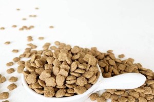 在没有狗粮之前，狗吃什么？（探究狗在没有狗粮时的饮食来源及其对健康的影响）