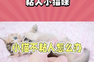 猫咪粘人背后的秘密（猫咪为什么喜欢粘人？探究背后的原因及意义）